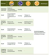 Werkzaamhedenoverzicht papiermolentunnel