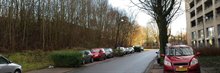 20160211_093832 verlengde meeuwerderweg met bomen - Foto John Brouwer.jpg