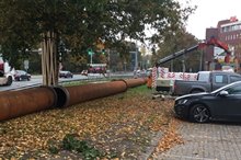 WhatsApp Image 2016-10-31 at 16.35.00 - Foto Perry