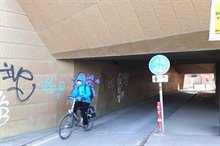 20180228_085938 gouden fietstunnel