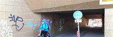 canvas-20180228_085938 gouden fietstunnel