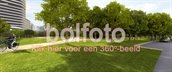 Bolfoto Waterloolaan - Verlengde Oosterweg GR