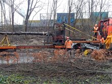 20180120 Verplanten bomen Europaweg - Helperzoomtunnel (6)