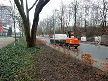 Verplanten bomen van Europaweg naar Helperzoomtunnel