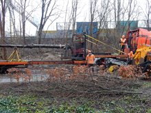 Verplanten bomen van Europaweg naar Helperzoomtunnel