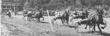 1935 paardenrennen stadspark header