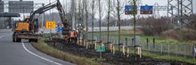 20240307 Bomen en bloemen planten Oost header Raymond Bos - 00103