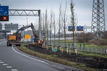 20240307 Bomen en bloemen planten Oost Raymond Bos - 00103