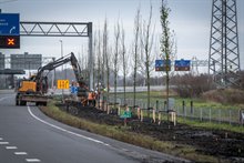 20240307 Bomen en bloemen planten Oost Raymond Bos - 00103