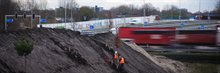 20241115 - bomenaanplant header - foto Raymond Bos - 240213_Bomen_planten_Julianaplein_Raymond_Bos_Beeldnummer_00177_1