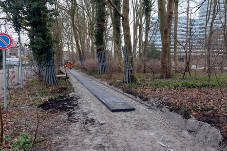 20250313 - 20250213 werkzaamhede sterrebos - foto gemeente Groningen - 20250206_091530