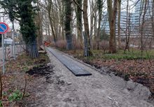 202503121_werkzaamhede sterrebos - foto gemeente Groningen - 20250206_091530
