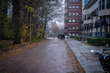 20250326 - waterloolaan index - 241127-Herinrichting-Waterloolaan-Raymond-Bos-Beeldnummer-09021