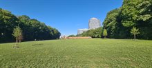 20250520_175150