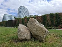 20250821 4 Zuiderplantsoen - Atsje Straatsma ARZ