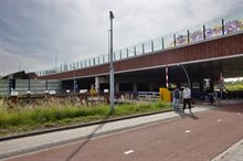 01_20250531_JvK_Julianabrug