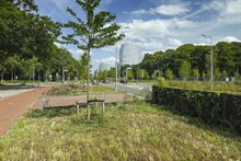 13 Maximaweg geleidescherm HV_19881