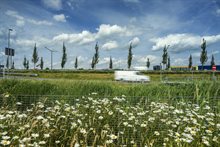 23 driebond HV_18050