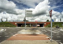 1- Botrotonde HV_17900