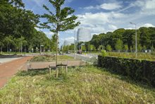 13 Maximaweg geleidescherm HV_19881