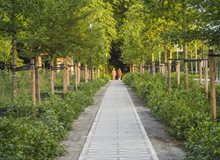 16 Sterrebospad HV_18779