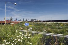 7B Heuvelachtig groen HV_18653